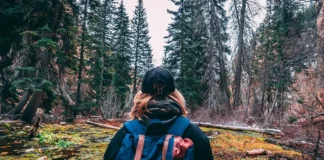 Doğa Yürüyüşü Nedir, Nasıl Yapılır? Doğa Yürüyüşü Faydaları